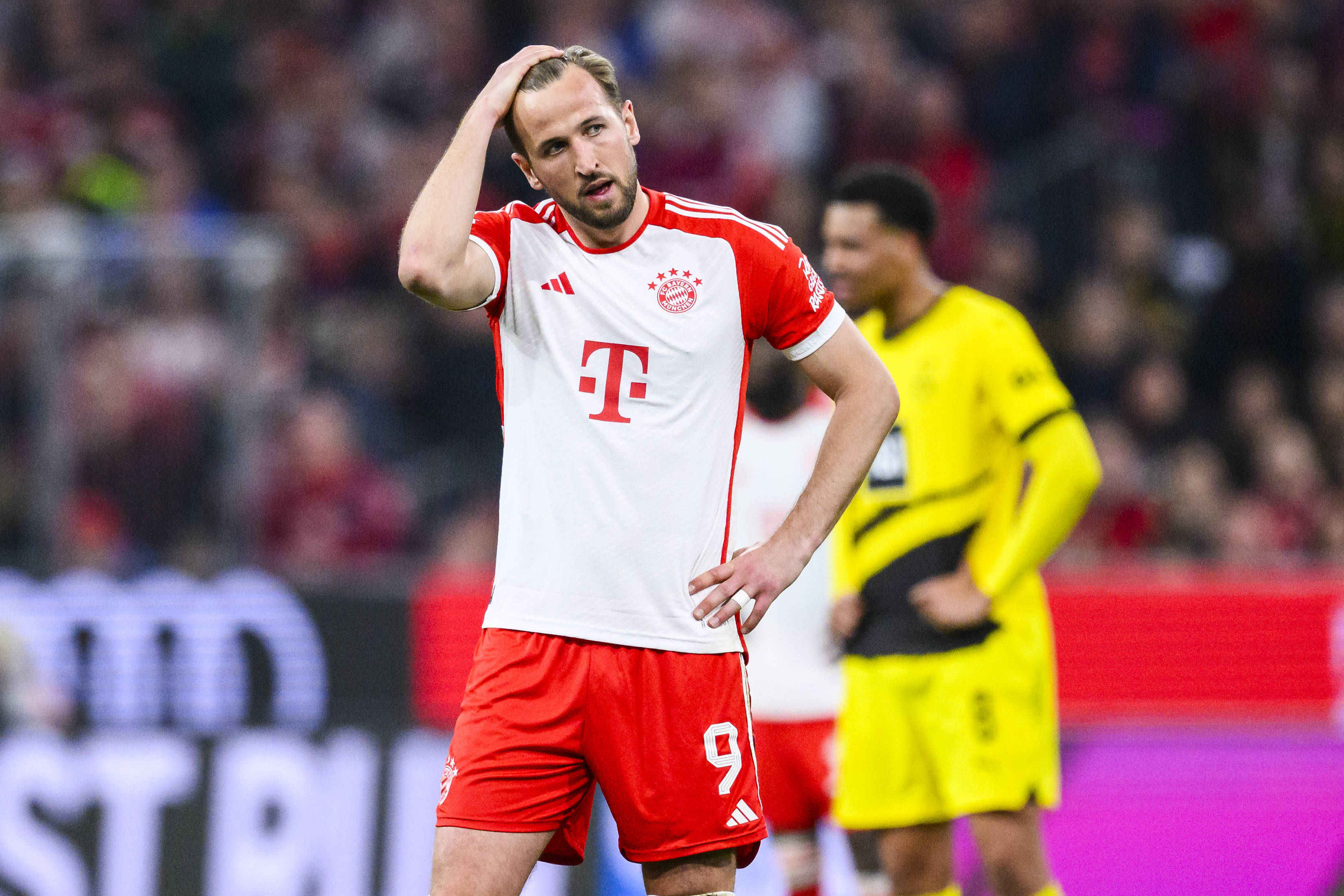 包含拜仁慕尼黑又添新星，德甲霸主实力更上一层楼的词条